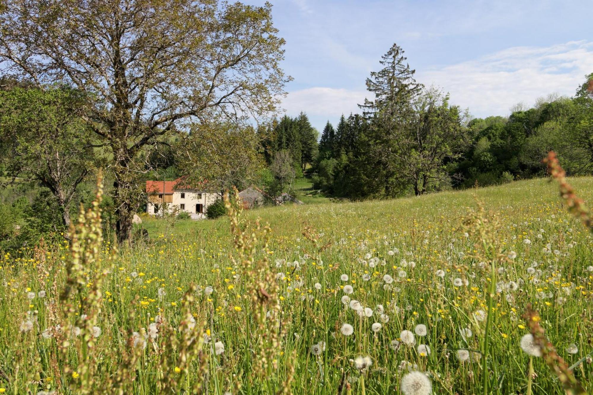 La Ferme De Jean Entre Lacs Et Montagnes Saulxures-sur-Moselotte Exterior photo