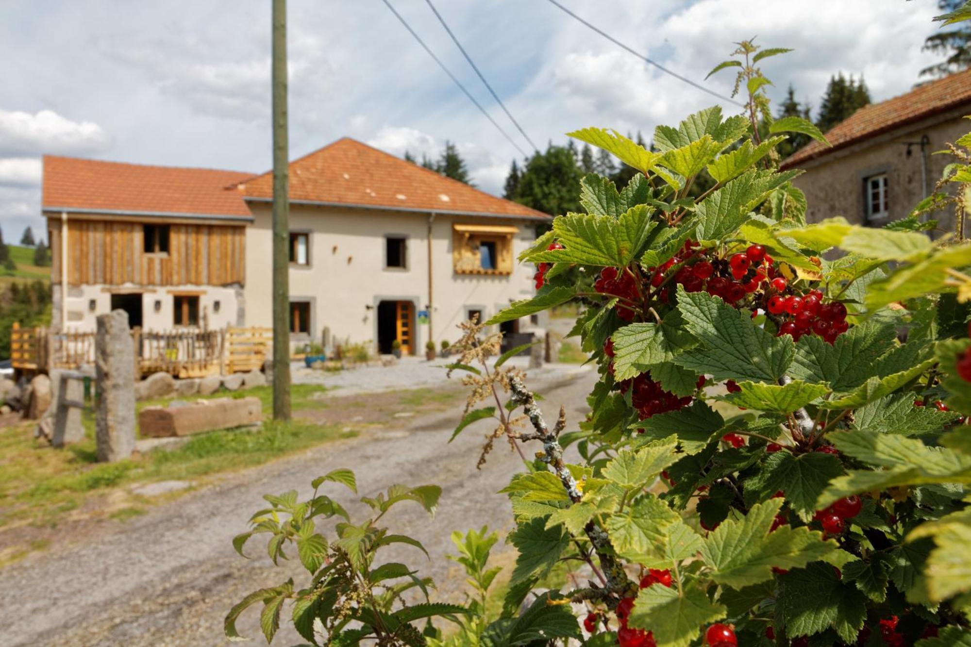 La Ferme De Jean Entre Lacs Et Montagnes Saulxures-sur-Moselotte Exterior photo